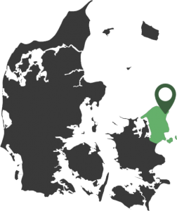 Snedker i Snekkersten, København og Nordsjælland